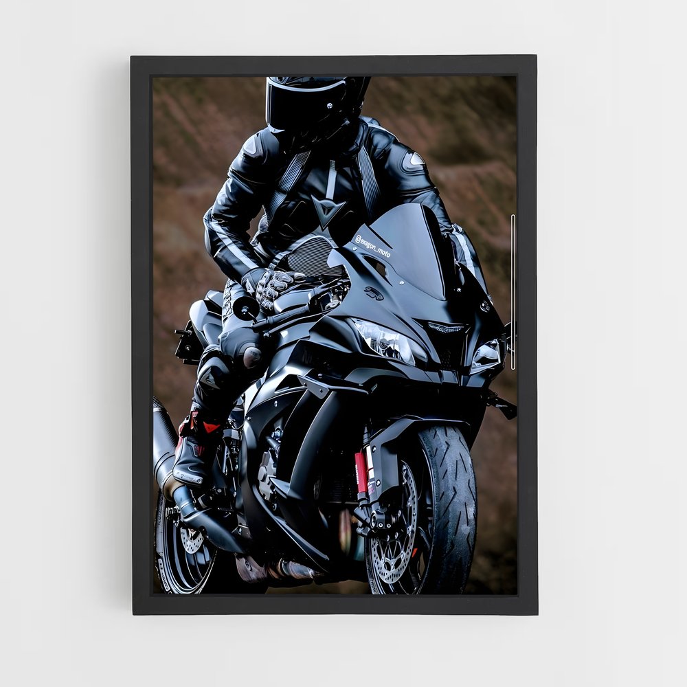 Poster Ninja Mystique H2 (vue 2)